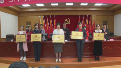 ​梅县区召开纪念“三八”国际妇女节113周年暨区妇联二届二次执委会议