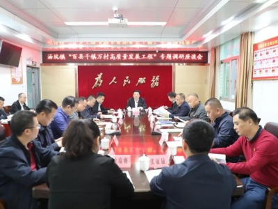 张志锋到汤坑镇开展专题调研：发挥示范作用 推动“百县千镇万村高质量发展工程”落到实处见到实效