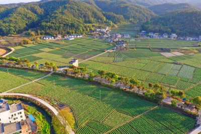 一把手访谈丨平远县八尺镇：做好三篇文章推动镇村高质量发展