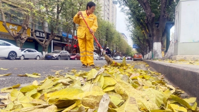满城尽是“黄金叶”，环卫工人很忙！