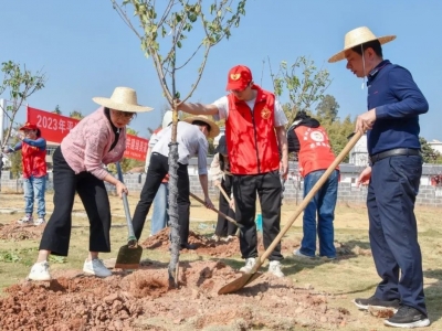 平远县开展“同植幸福树 共建绿美家”植树活动