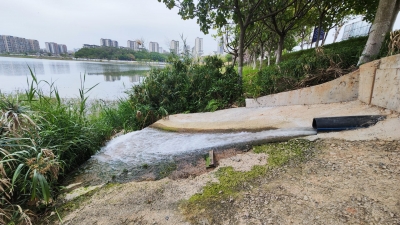 剑英公园引中水入湖 ！节能又环保