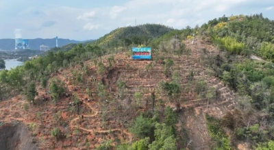 植绿正当时！大埔掀起新一轮造林热潮，全力推进绿美大埔生态建设