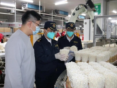 52.5吨梅州金针菇首次出口越南