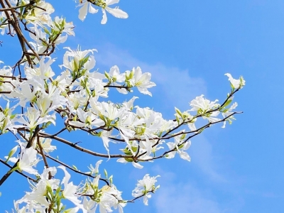 @梅州市民，本周末气温回暖，出游正当时~