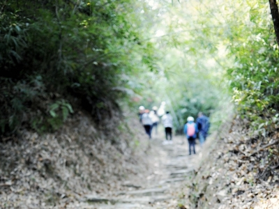 追念红色记忆！“南粤古驿道踏春行”走进大埔县余里古驿道
