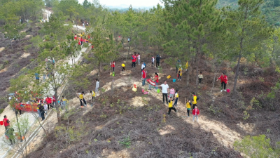 添绿正当时！五华县举行“同植幸福树 共建绿美家”幸福家庭林植树活动