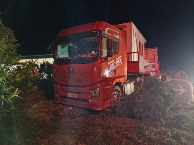 高速服务区大货车突然“无人驾驶”，冲上绿化带…