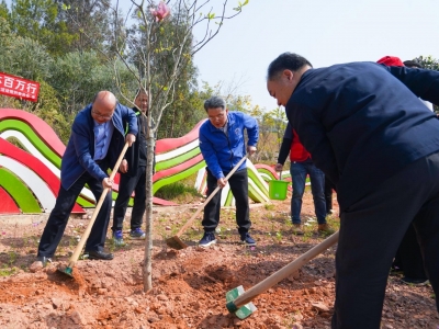 五华启动关注森林活动，守好家门口的一片绿！