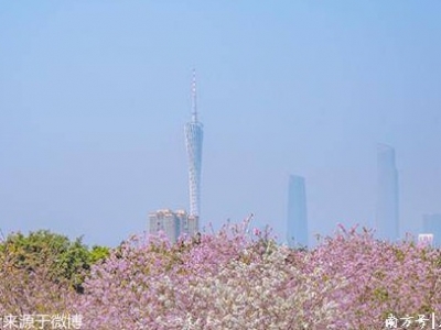 未来几天广东持续天晴干燥，早晚有轻雾