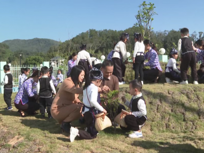 萌娃“变身”小茶农！大埔开展“非遗进校园茶香润童心”采茶活动