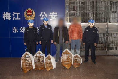 俩男子相约“遛画眉”，把自己送入“牢笼”