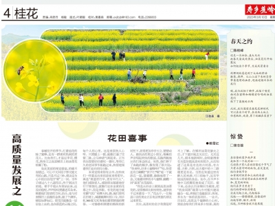 寿乡蕉岭·桂花