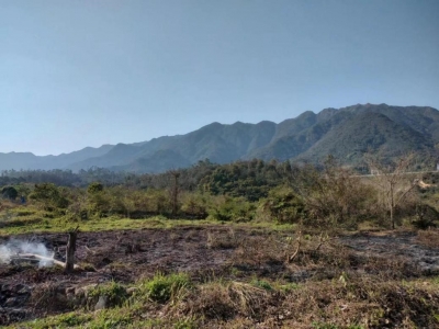 以案为鉴！丰顺县汤西镇查处一起违规野外用火案例