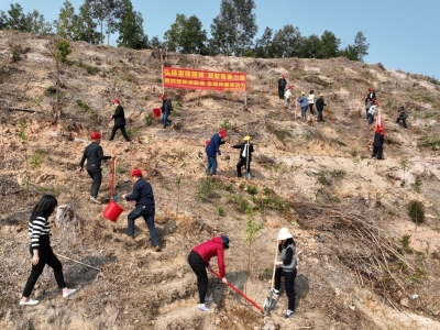 梅州市农业农村局等单位基层党组织联合开展义务植树活动