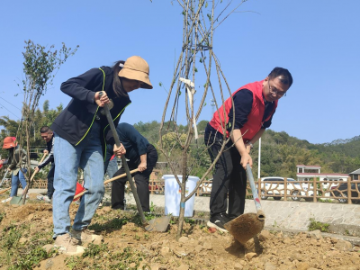 梅江区人大机关开展共建绿美梅江义务植树活动