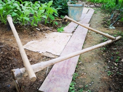 丘桂贤｜搭脚头【俗语正解（三）】