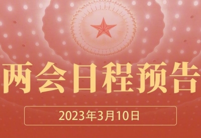 3月10日：选举新一届国家机构和全国政协领导人