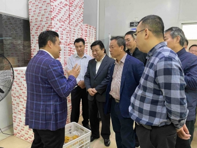 潮州市政协考察组来梅考察交流：创新方式方法 推动产业共兴