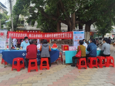 学雷锋见行动！梅江区大园社区志愿服务送关爱