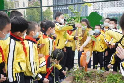德育为首塑校风 诗画校园显底蕴！走进“第四届梅州市文明校园”梅江区风眠小学 