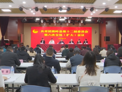 共青团蕉岭县第十二届委员会第六次全体（扩大）会议召开