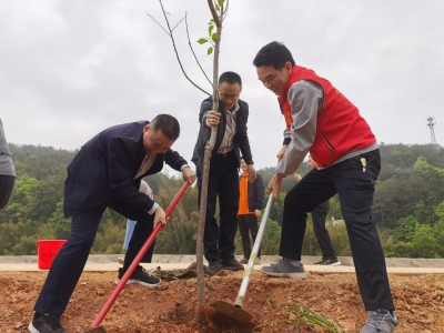 清凉河风中，他们栽下春天的希望！
