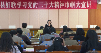 大埔县妇联开展学习党的二十大精神巾帼大宣讲