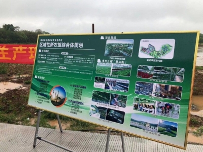 兴宁市宁新街道举办春耕生产现场会，推动“规模化”农业进程