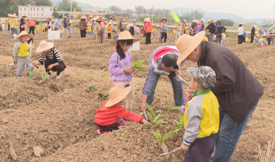 体验耕种、学唱山歌、做非遗美食...广东（蕉岭）乡建馆成中小学生热门研学打卡地