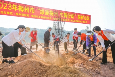 “植”此青绿！今天，他们在这里种下百株梅花树苗...