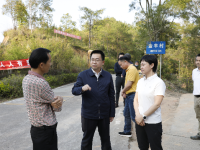 陈金銮、钟秀堂督导检查重点工作并开展巡林 ：全力打造宜居宜业宜游的高品质城市