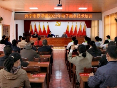 兴宁市罗浮镇开展电子商务培训