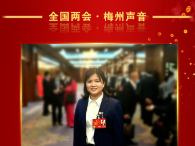 全国两会·代表日记丨张春梅：在忙碌履职中度过节日