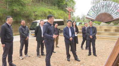国家林草局调研组到蕉岭调研森林资源管理和林长制工作
