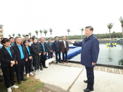 视频丨习近平在广东考察调研
