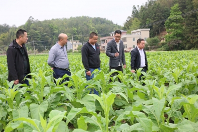 驻平远八尺镇帮镇扶村工作队强化基层党建有序推进帮扶工作，跑出乡村振兴“加速度”
