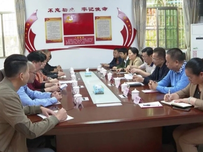 大埔县政协一行到洲瑞镇调研乡村振兴驻镇帮镇扶村工作