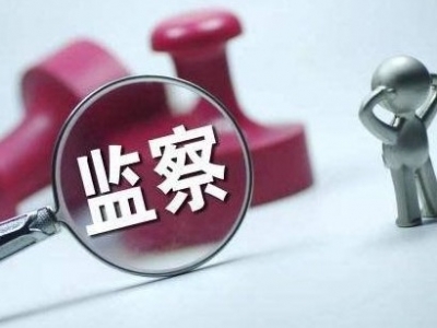 中央纪委国家监委公开通报十起违反中央八项规定精神典型问题