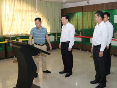 张志锋调研丰顺县文旅工作：立足资源禀赋和产业优势 推动“农文旅”深度融合发展