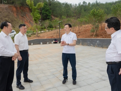 马正勇到蕉岭县调研绿美梅州生态建设工作：全力推动生态建设走在全省前列