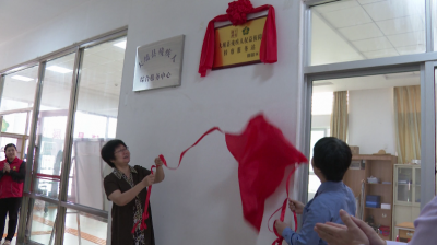 大埔县开展加强残疾人权益保护活动