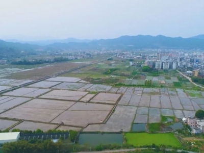 荒地变良田 “饭碗”端更稳！梅县区全力推进撂荒耕地复耕复种和春耕生产工作