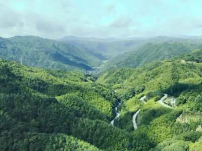 丰顺：发动“绿色引擎” 建设“绿美丰顺”