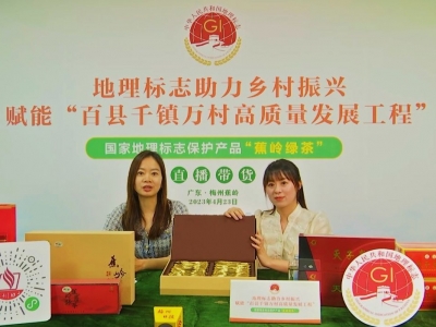 学地标知识，品寿乡绿茗！梅州举办国家地理标志保护产品“蕉岭绿茶”直播带货活动