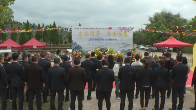 生态树葬更“清明”！蕉岭35位逝者集体树葬