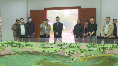 王锋到梅南镇调研 坚持实干为先 推动“三色”深入融合发展