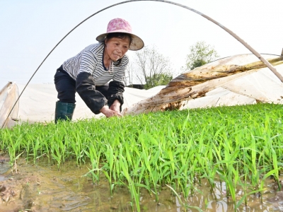 新时代 新征程 新伟业丨梅江区上村村集体经济收入6年时间从4万多元增至47万元