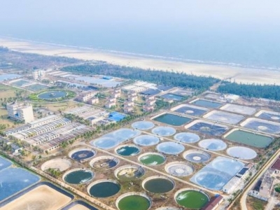 这个科研基地，帮助全国人民解决了“吃虾”问题