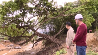 丰顺县抓实抓细防汛备汛工作，织密筑牢“安全网”